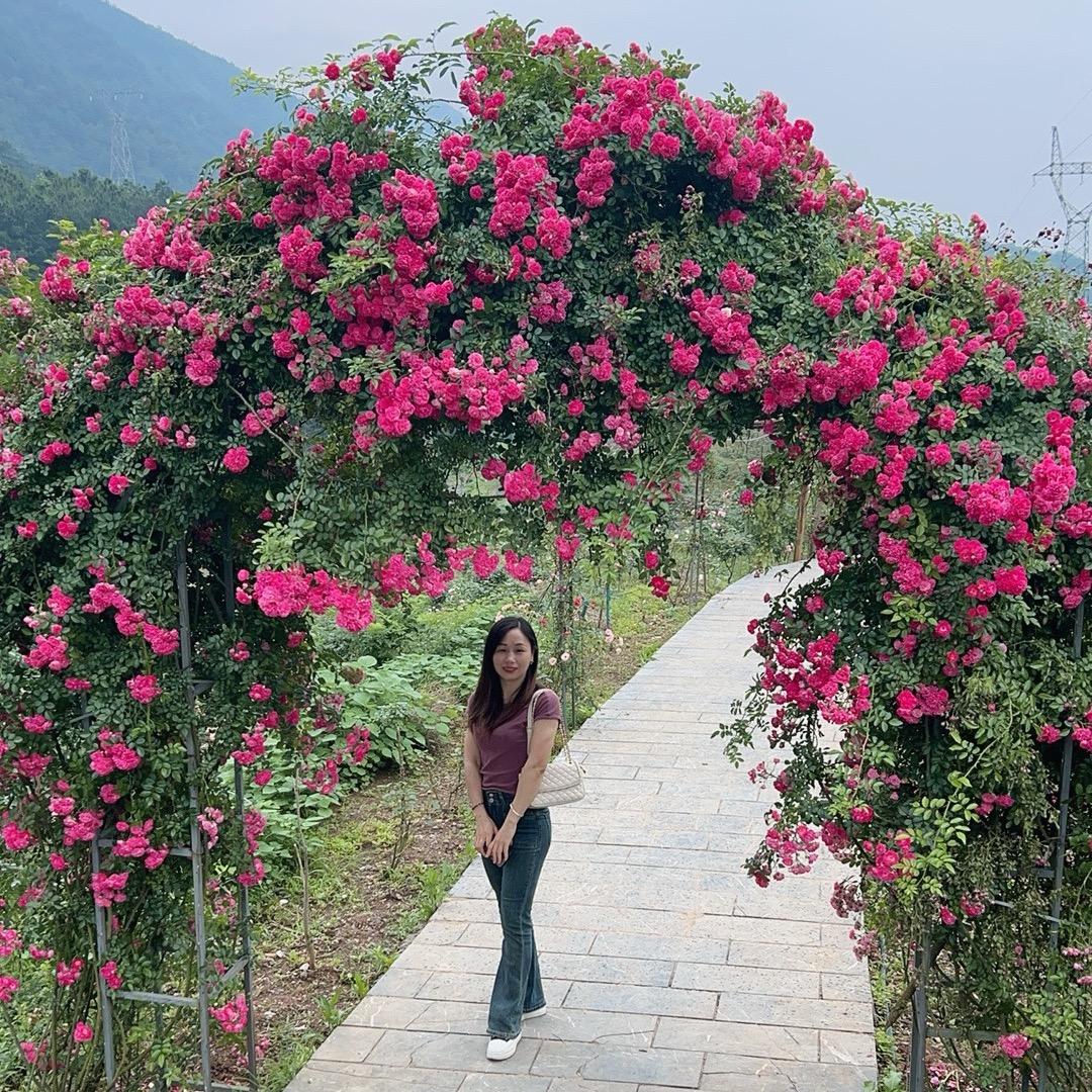 你与春风皆过客