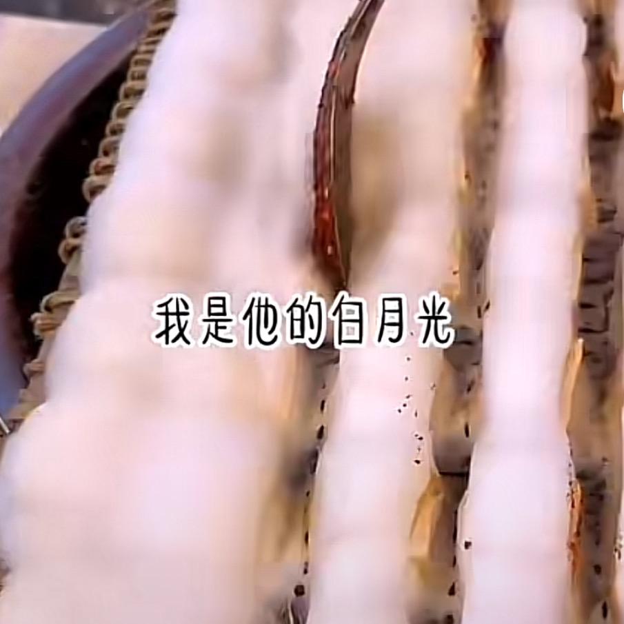 我是他的白月光