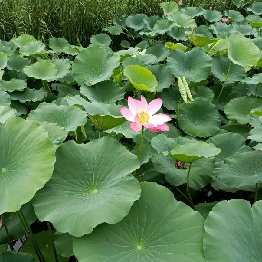 用户涛涛