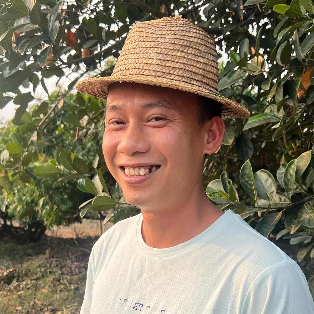 老韦头阿平