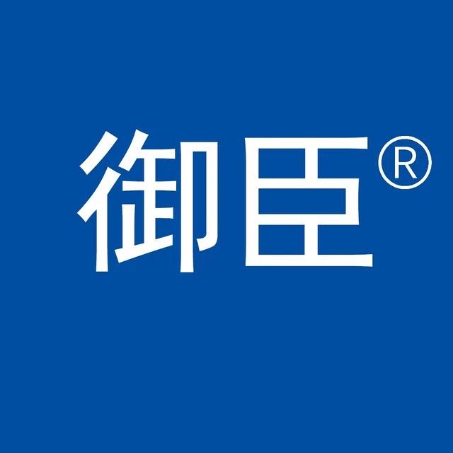 御臣八零创汽车电子专卖店