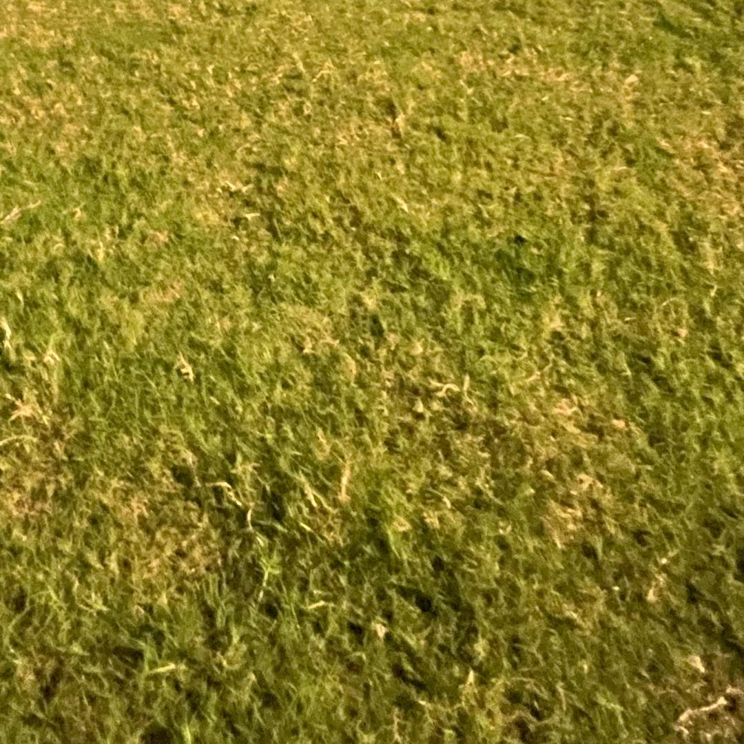 发哥