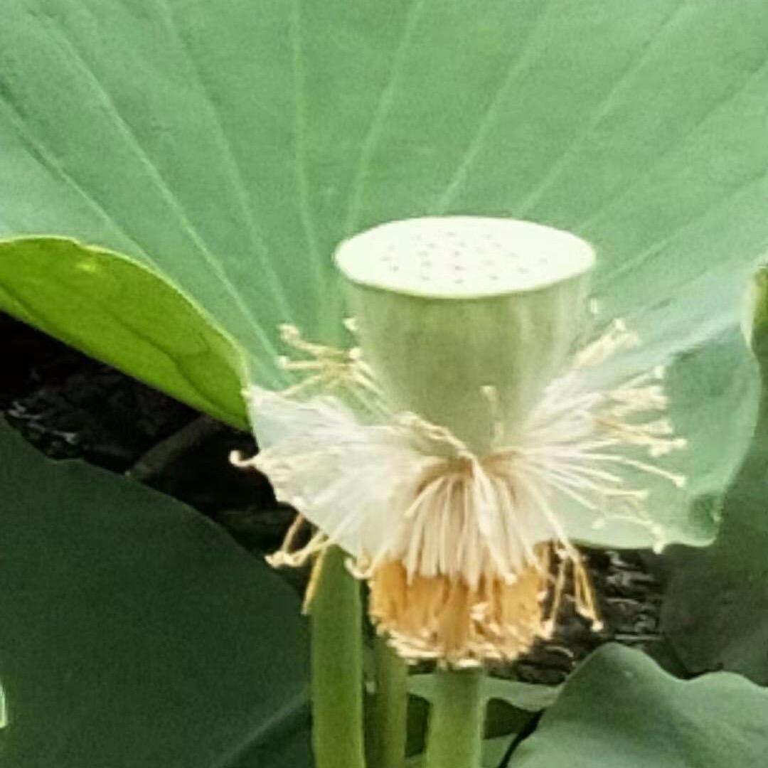 阳光总在风雨后💓