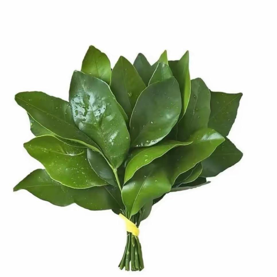 - 小 草