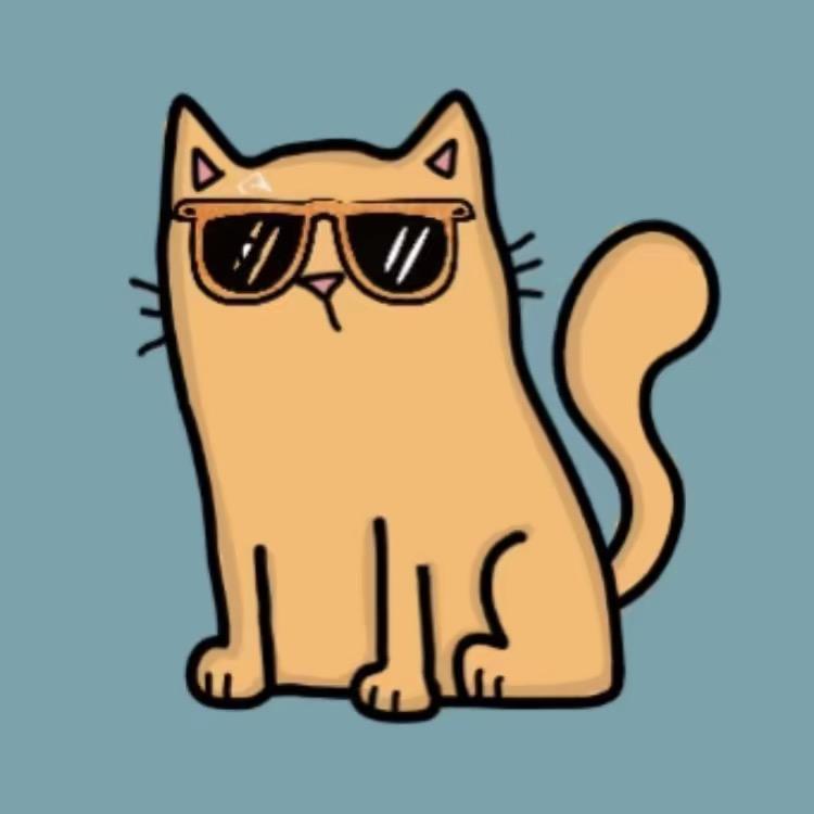 无人认领的猫