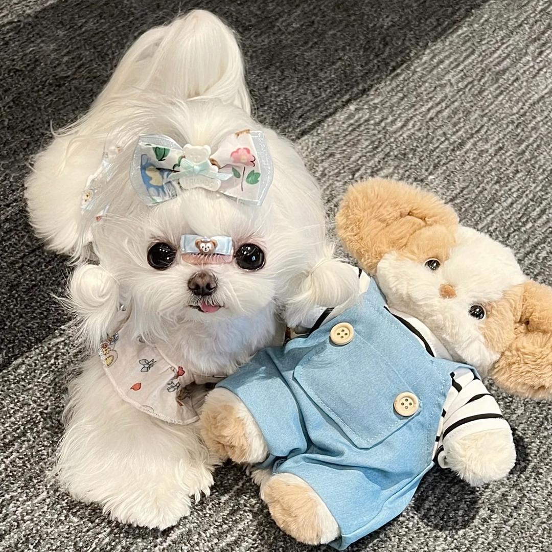 𝗠𝗮𝗸𝗮𝗯𝗮𝗸a