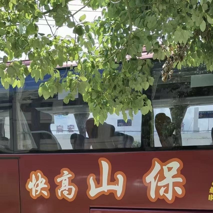 东莞回云南大巴富运通