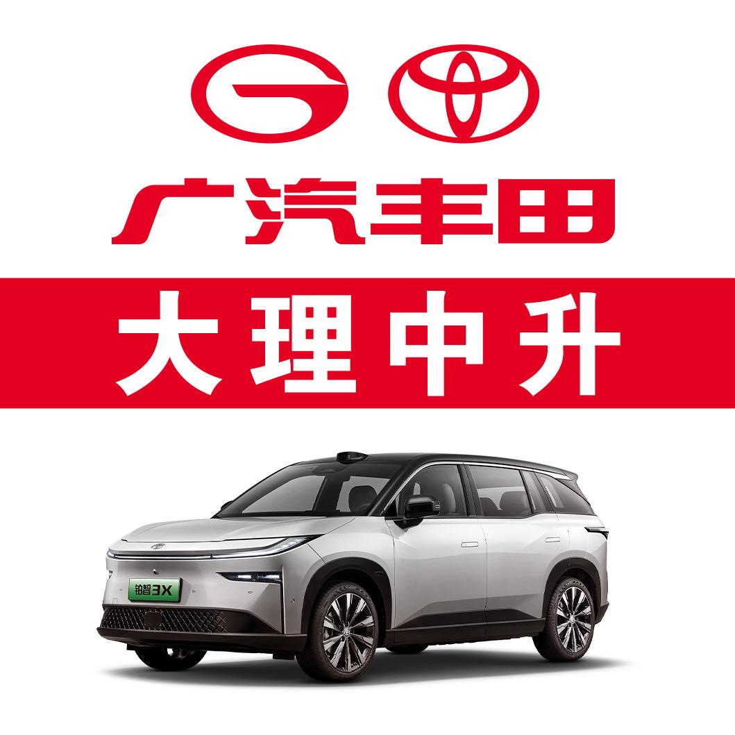 大理广丰新能源-铂智3X体验中心