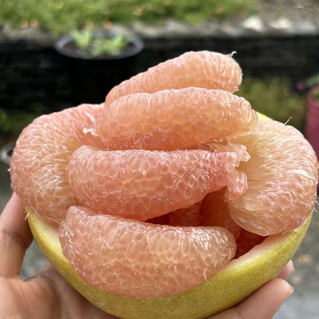 仙游烁羽特产馆