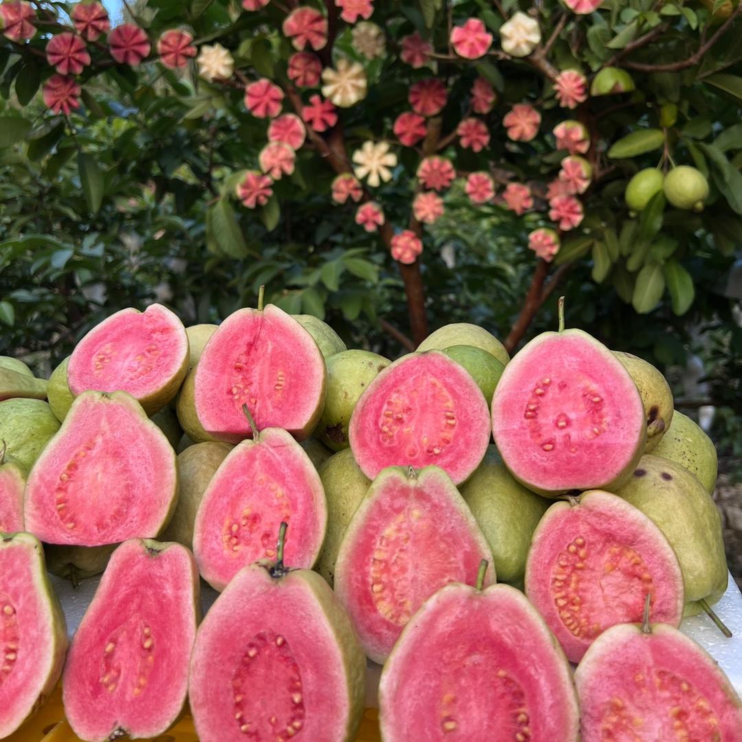 忆味鲜果