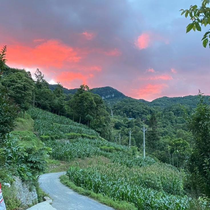 云在青天水在瓶