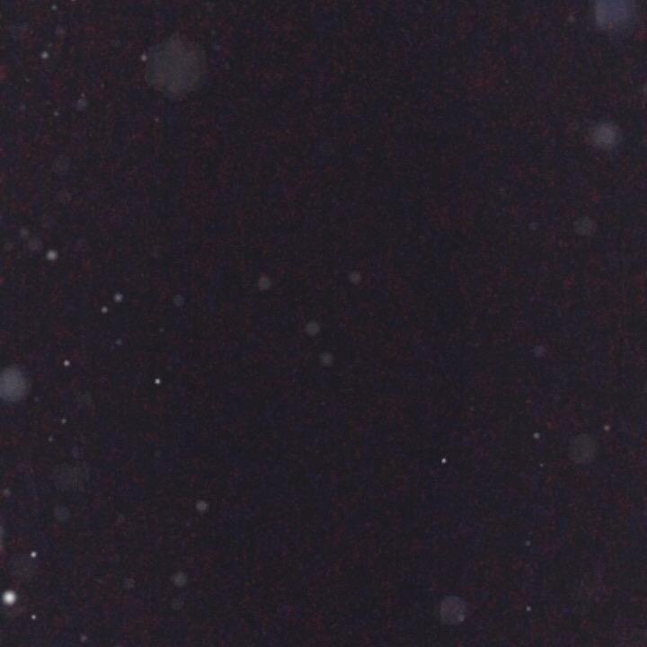 靓仔