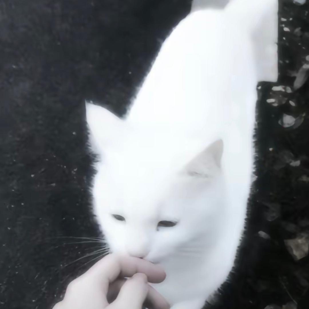 秀山