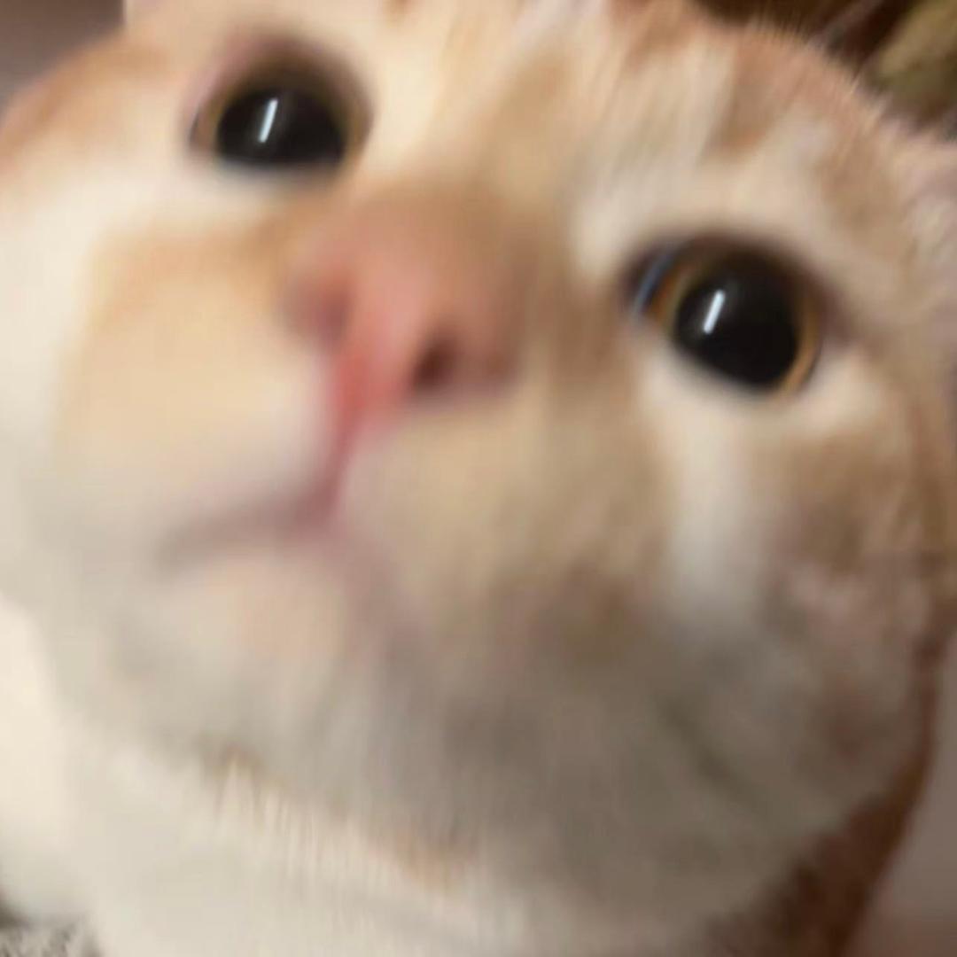 鸭桑