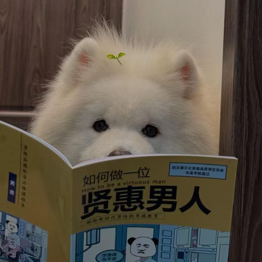 快乐的小狗