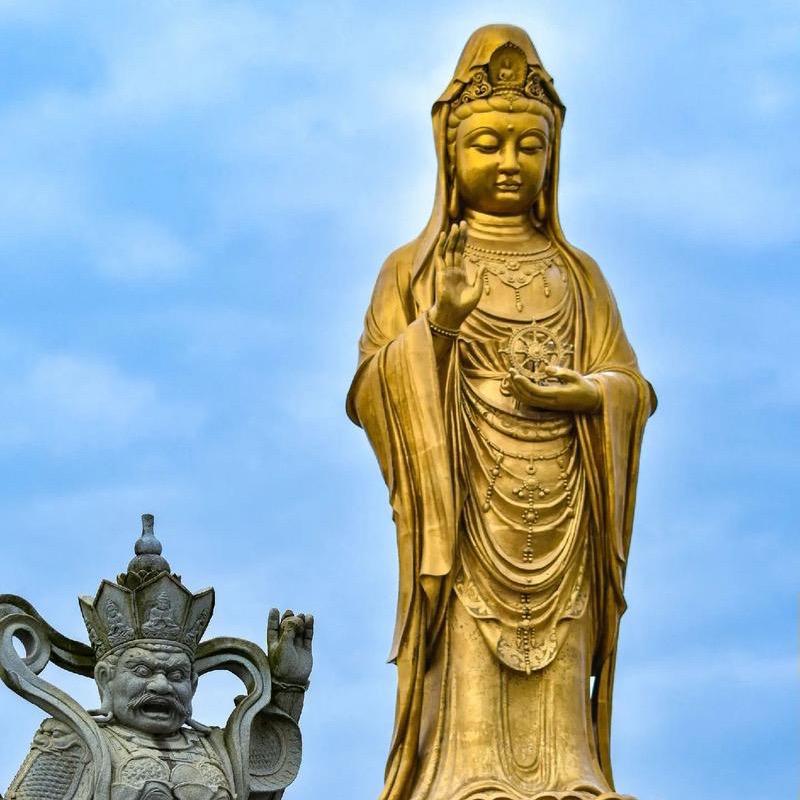 锦鲤附体