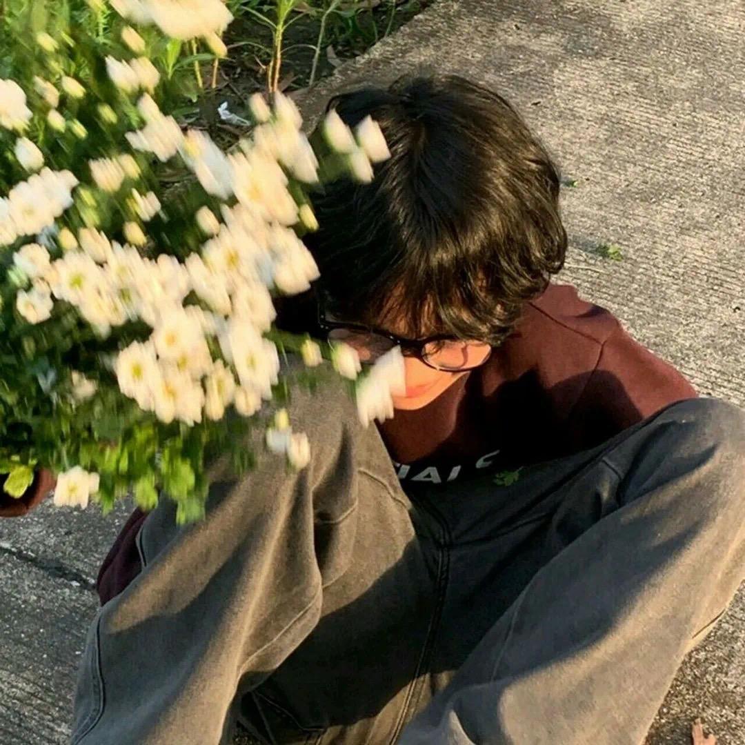 秋杨