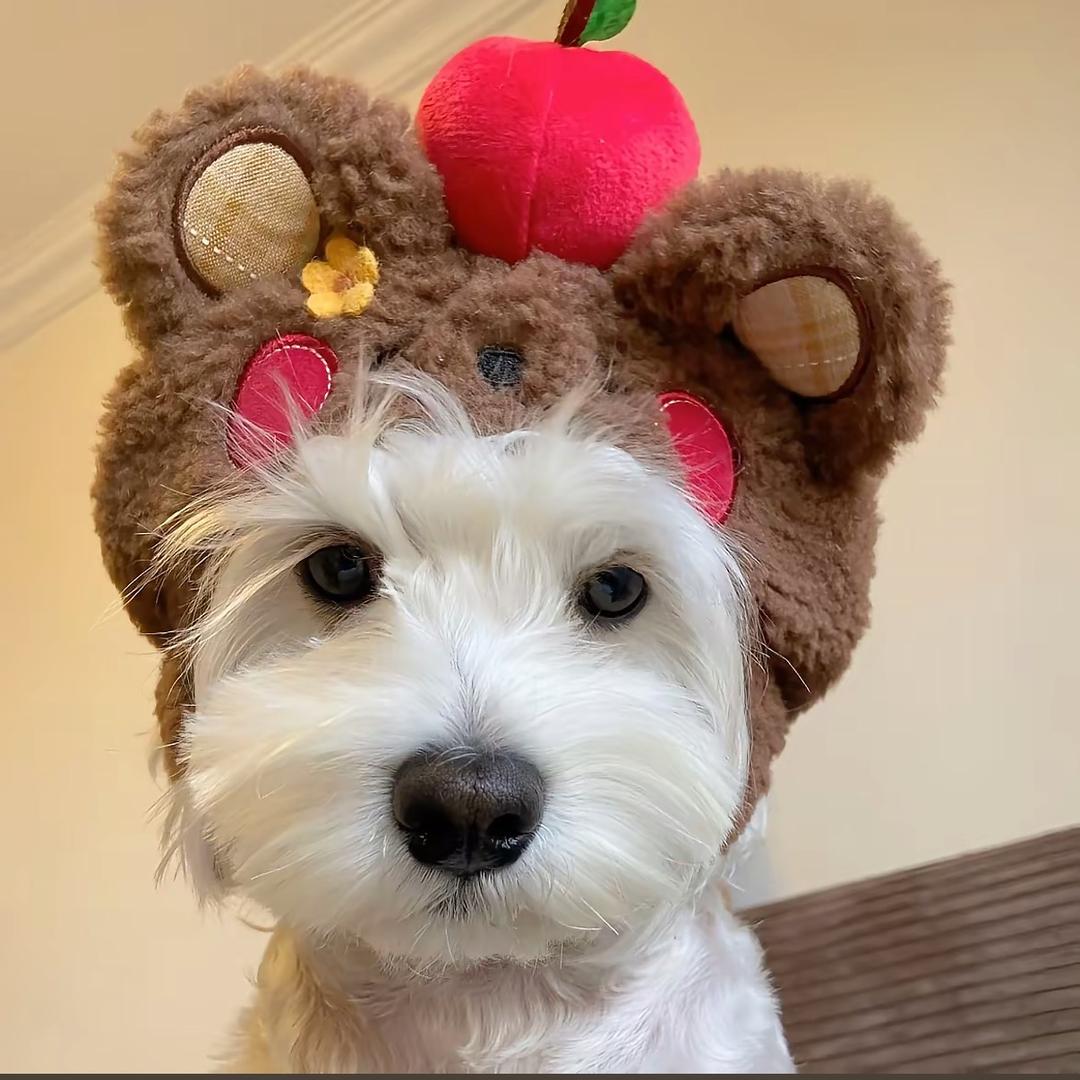 苹果小狗🍎