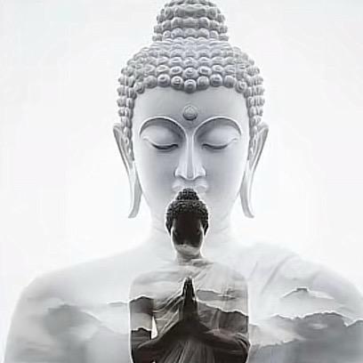 糖糖鹅🍬-挺好