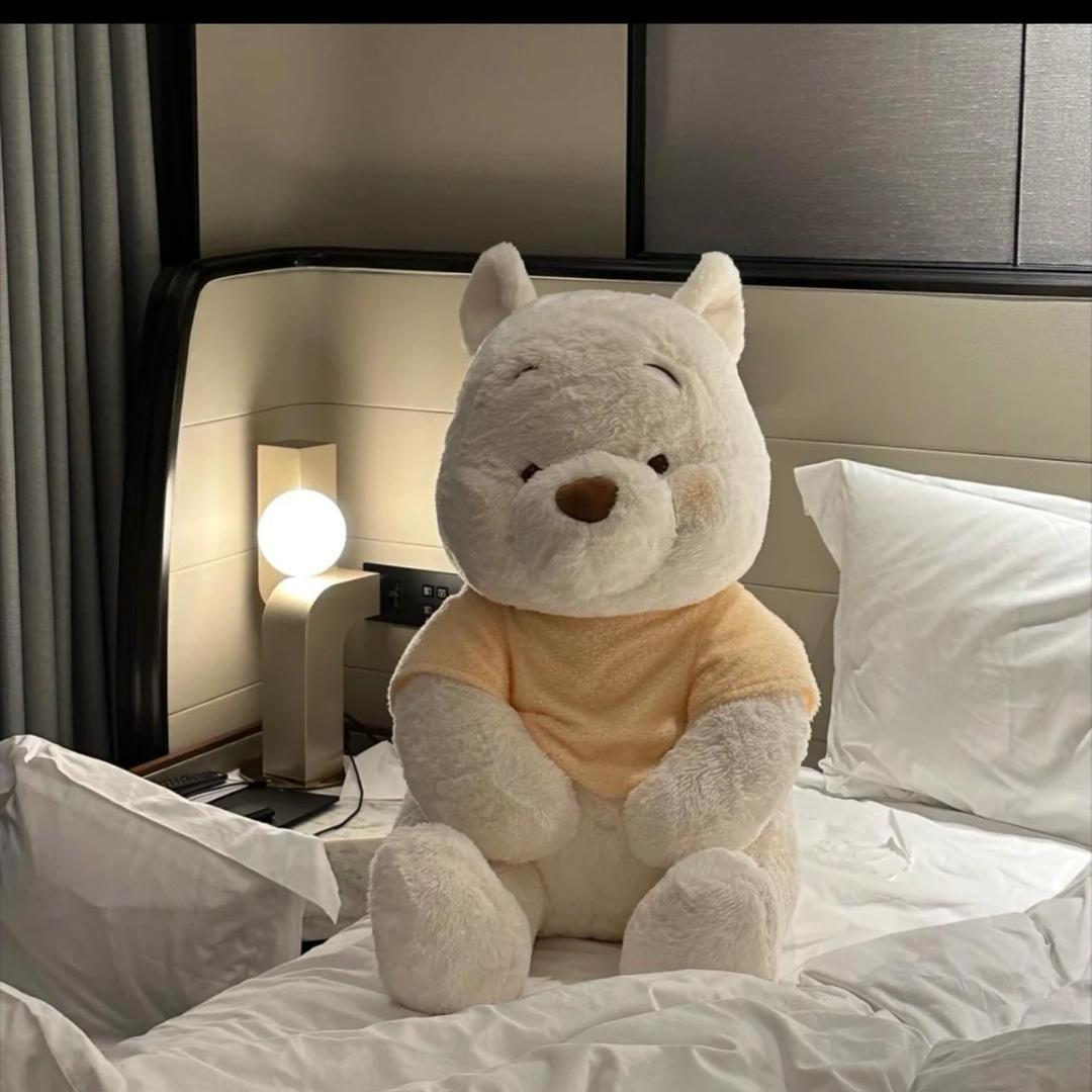 岁岁🐻