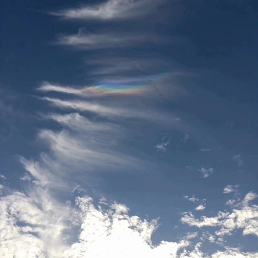 鹰速电竞（斗魂专业陪玩甜妹战神）