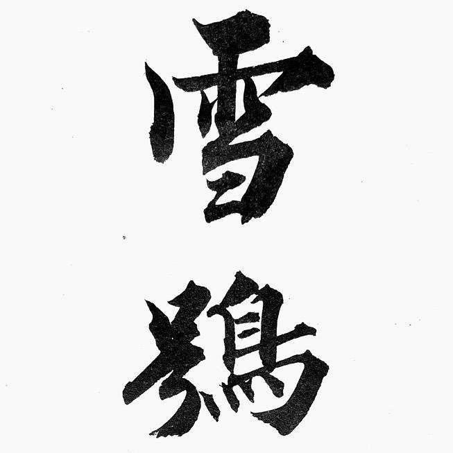 雪鸮
