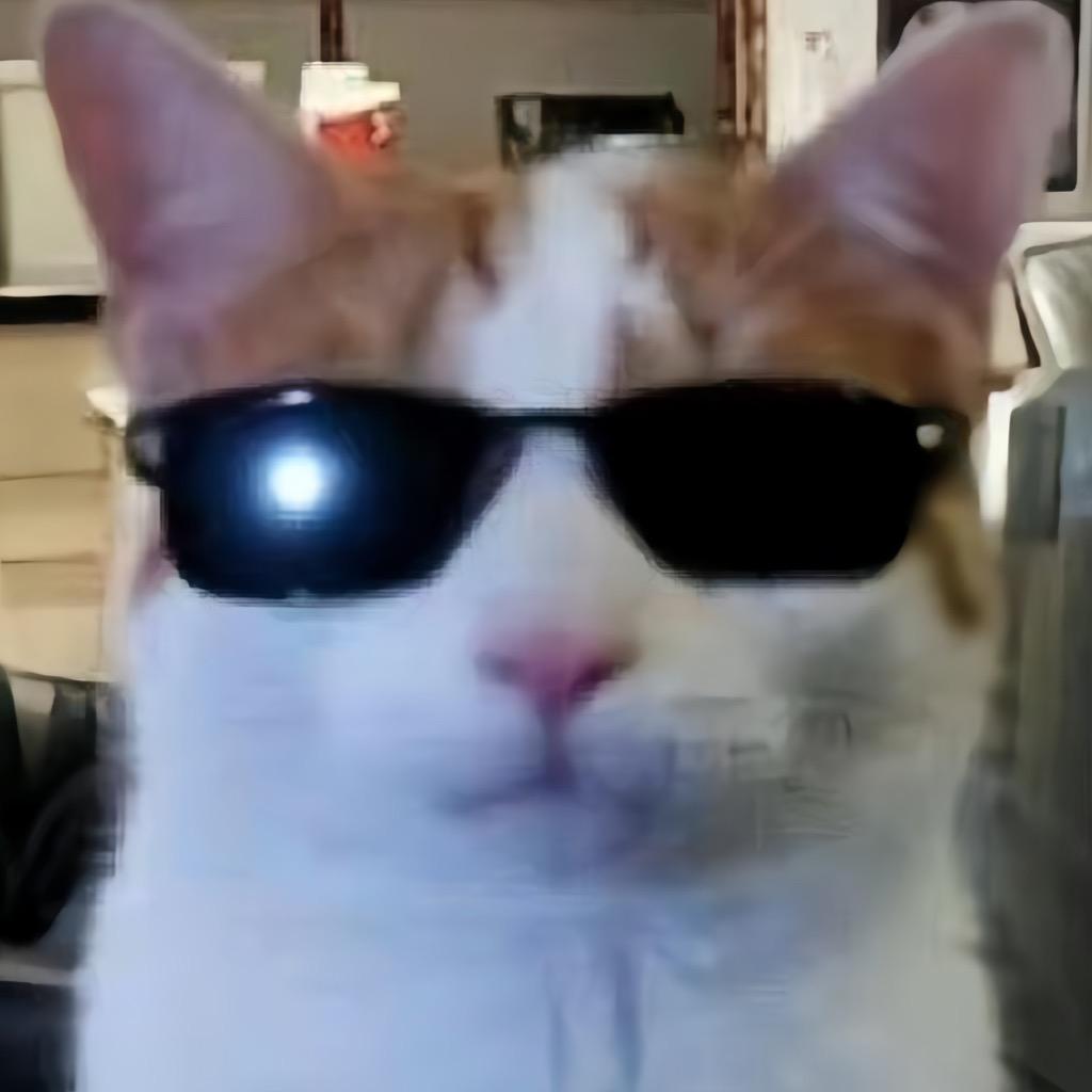 陪你看日落……