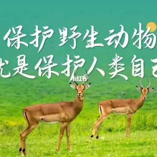 浑源县畜牧兽医服务中心