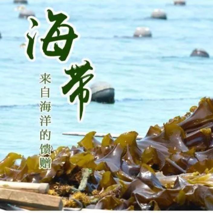 🐟🦐