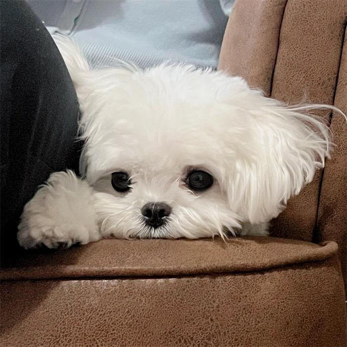 早啊
