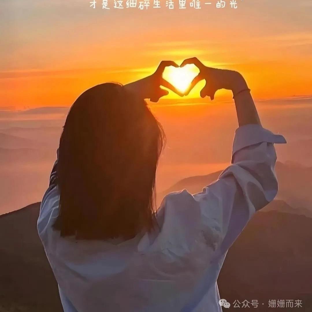 （忘忧草）