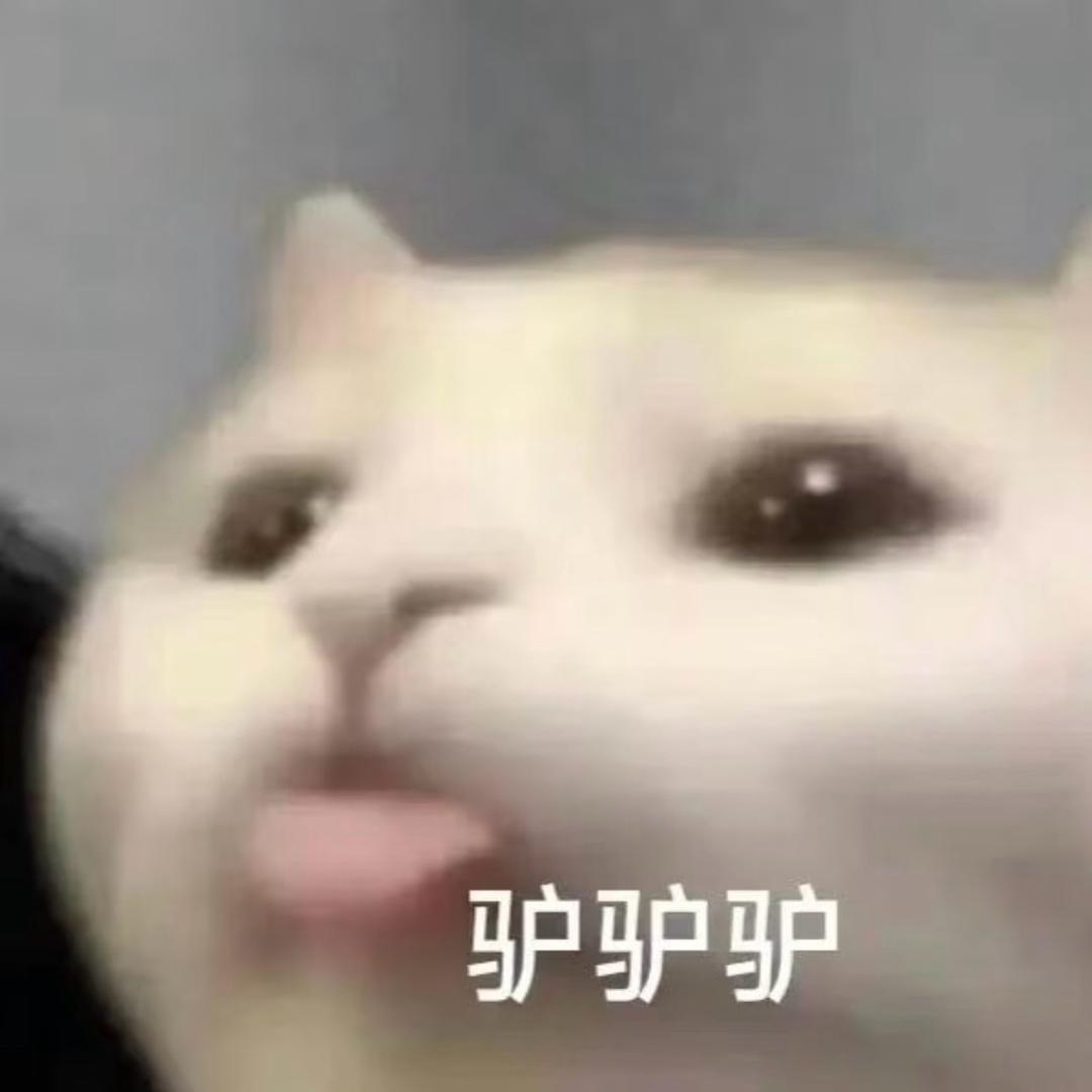 洋柿子害惨了我