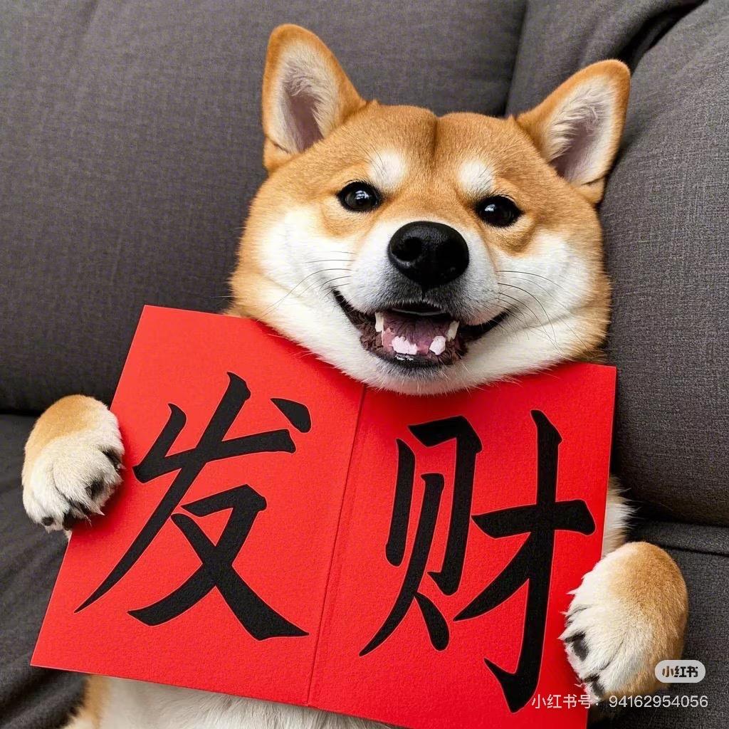 臭卖狗的🫶🏻