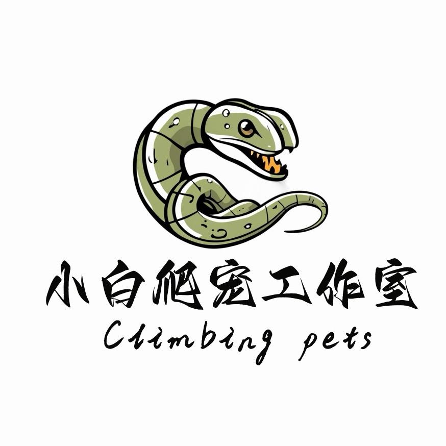 芒市 小白爬宠工作室