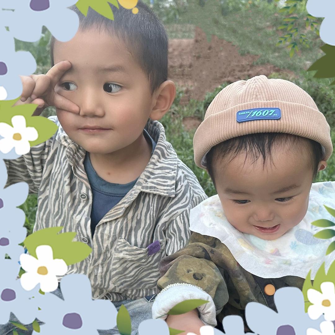 🍀治愈时光🦩