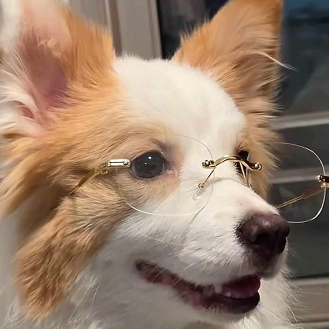 想某个？
