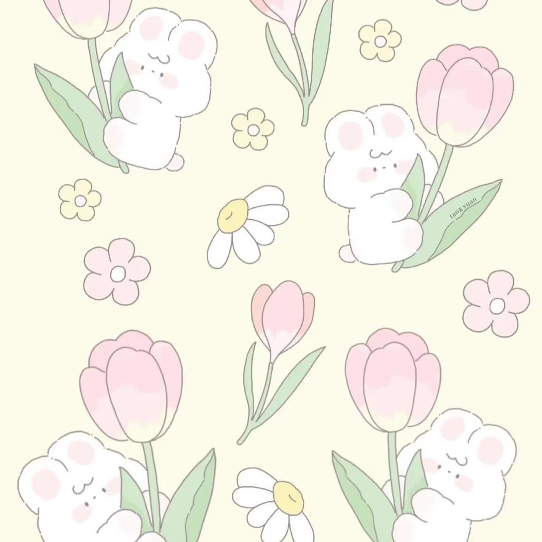 文儿🌾