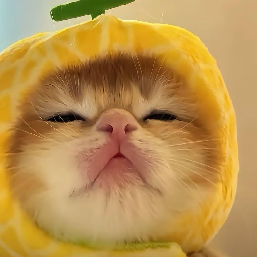 不 凌