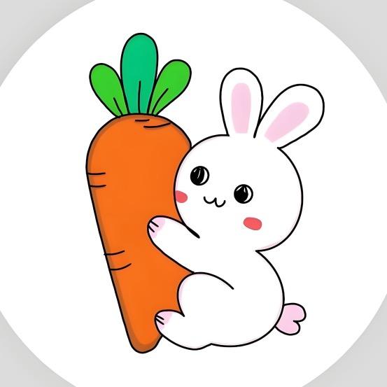 胡萝卜🥕🎁(直播间专属快递)