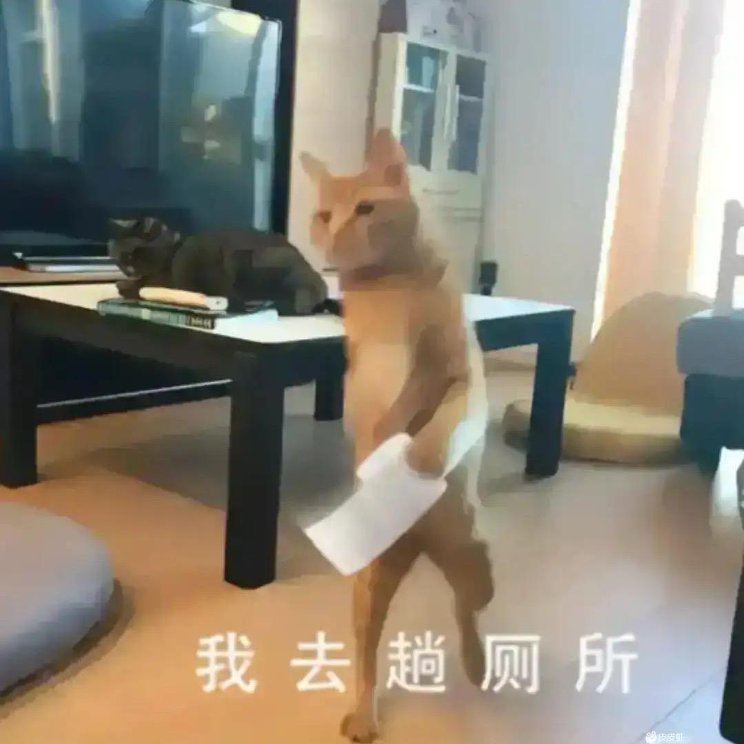 就要发财le