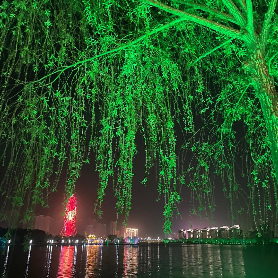 藏不住的喜欢