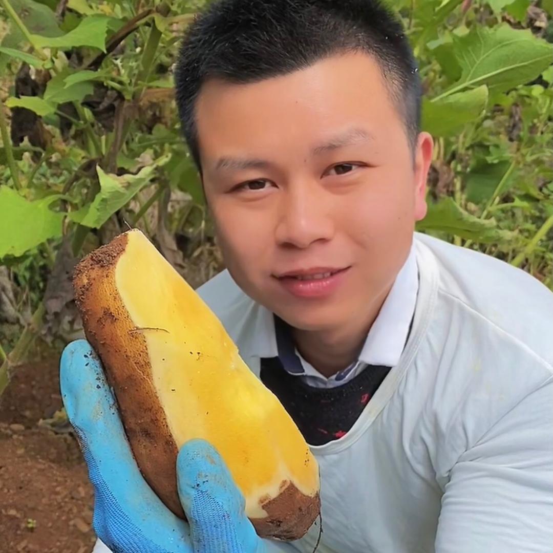 高原新鲜果蔬