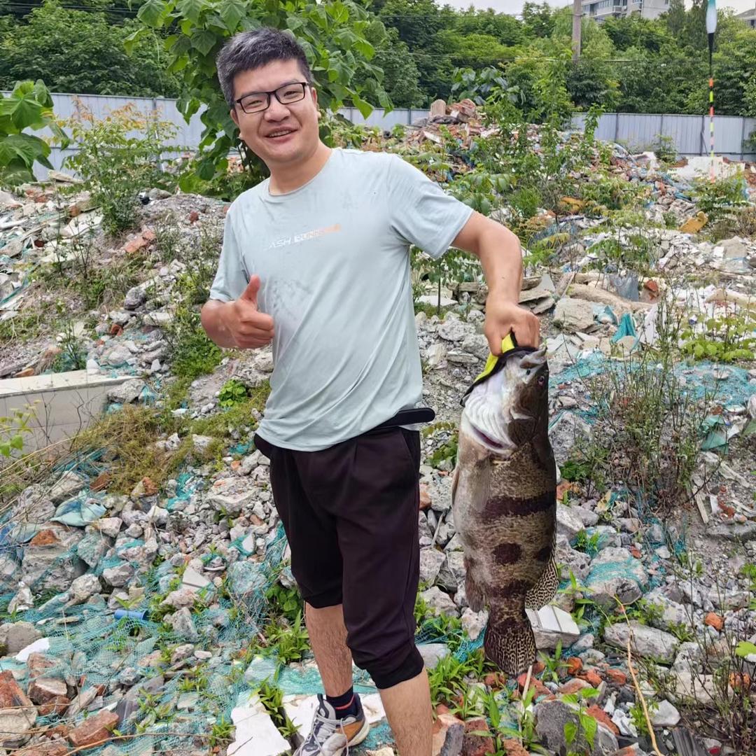 沙皮狗的忧伤