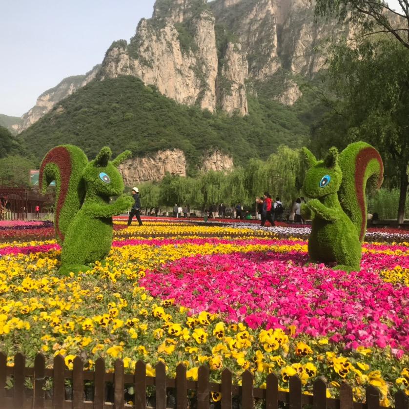 幸福快乐