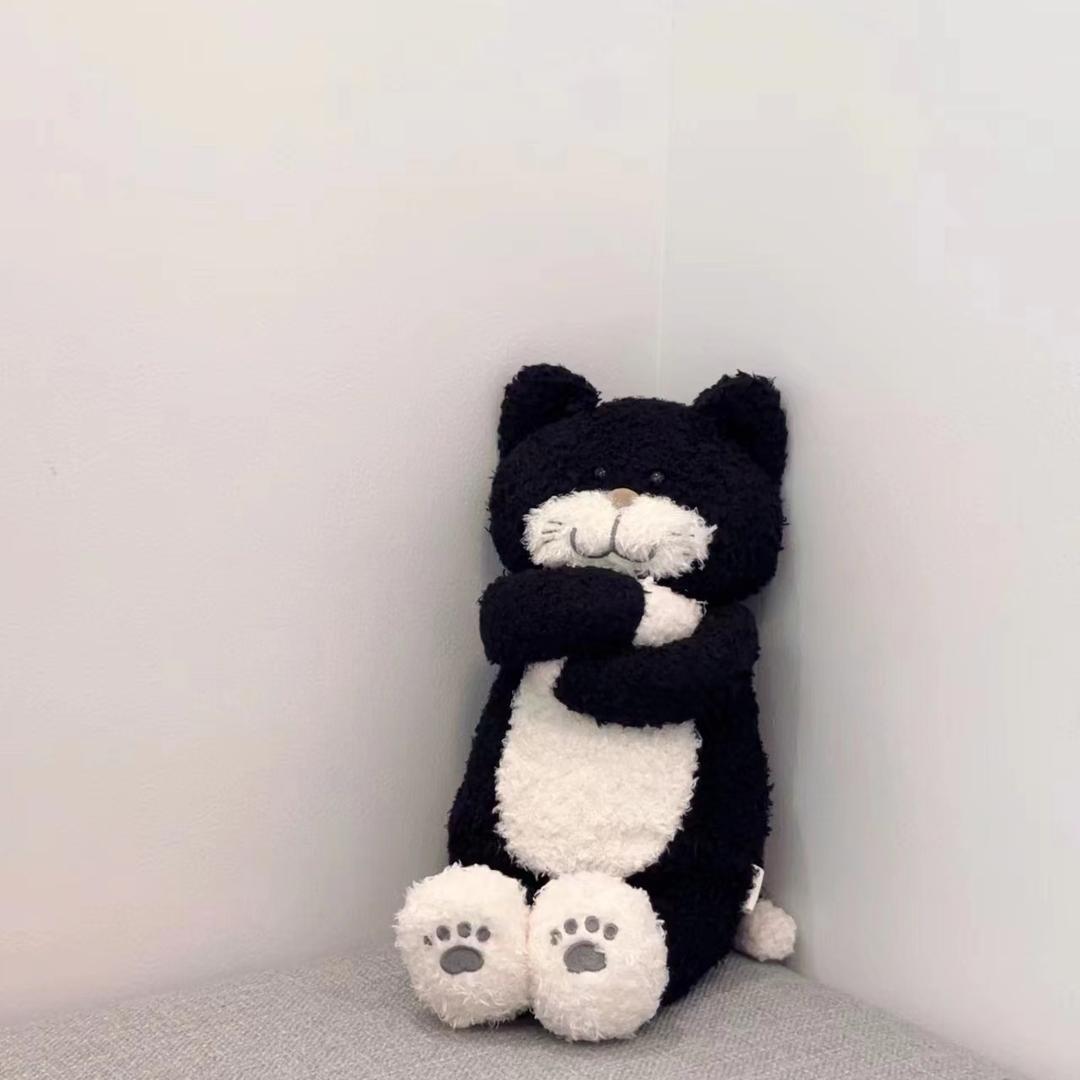 😻     L  。
