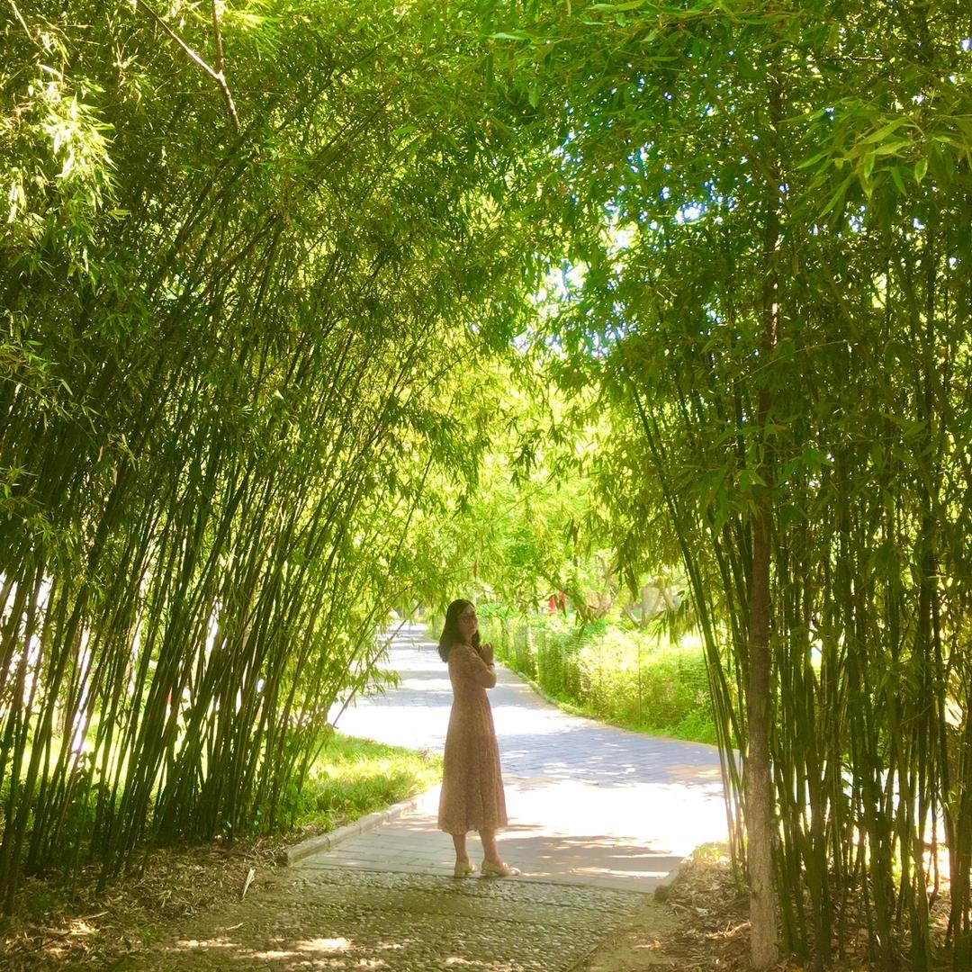 美丽无声