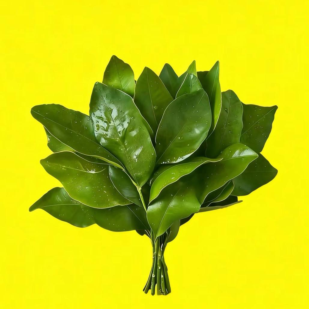 纯情的小羊苏西🧏🏻‍♀️