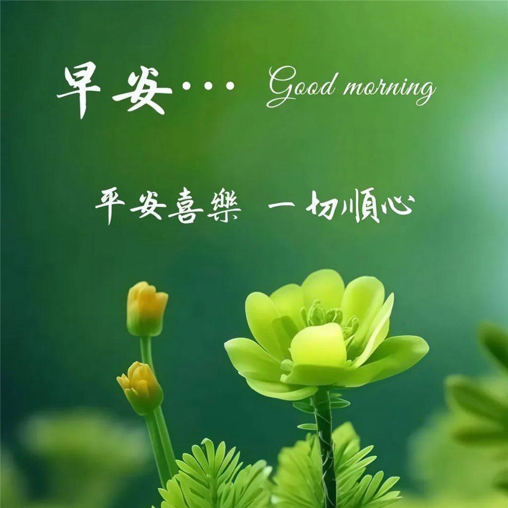 古币收藏姜老师