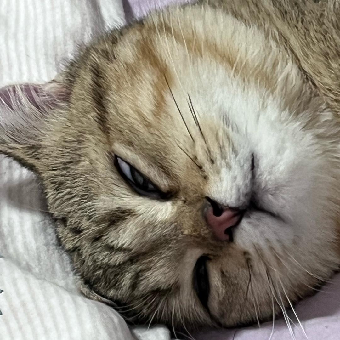 _屌丝文艺男