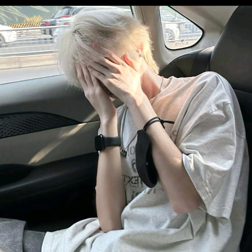 揽月